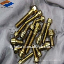 Titanium Hex socket head bolt